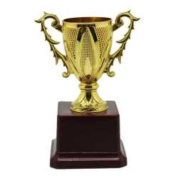 Golden Sports Open Cup Trophy