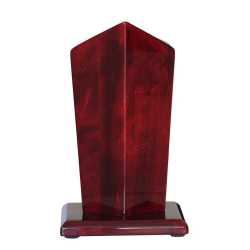 Silver Star Piano Finish Trophy