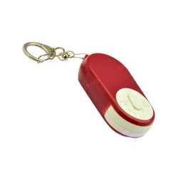 Keychain with Folding Magnifier& LED light